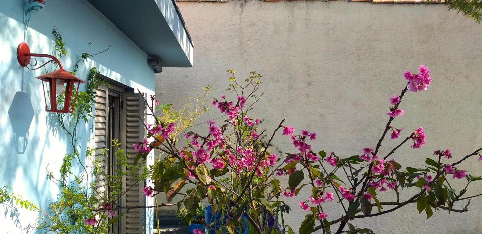 Micasa Hostel - Congonhas São Paulo Extérieur photo
